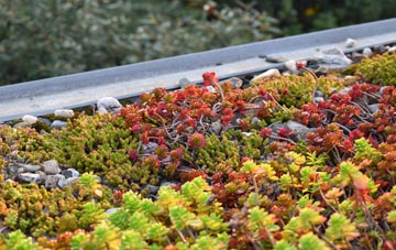 the cost of Swithland green roof installation