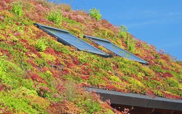 Swithland living roof systems